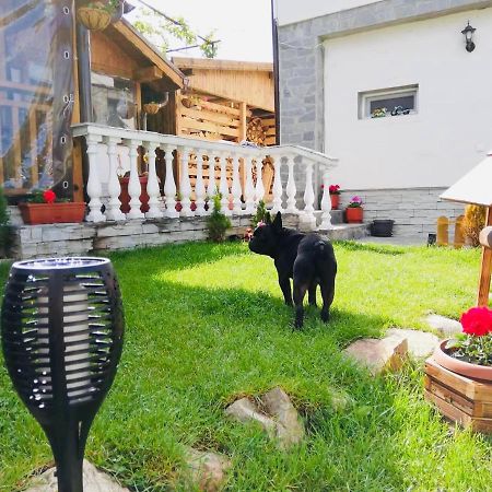 Guest House Grahlyov Sapareva Banya ภายนอก รูปภาพ