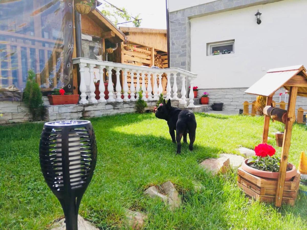 Guest House Grahlyov Sapareva Banya ภายนอก รูปภาพ